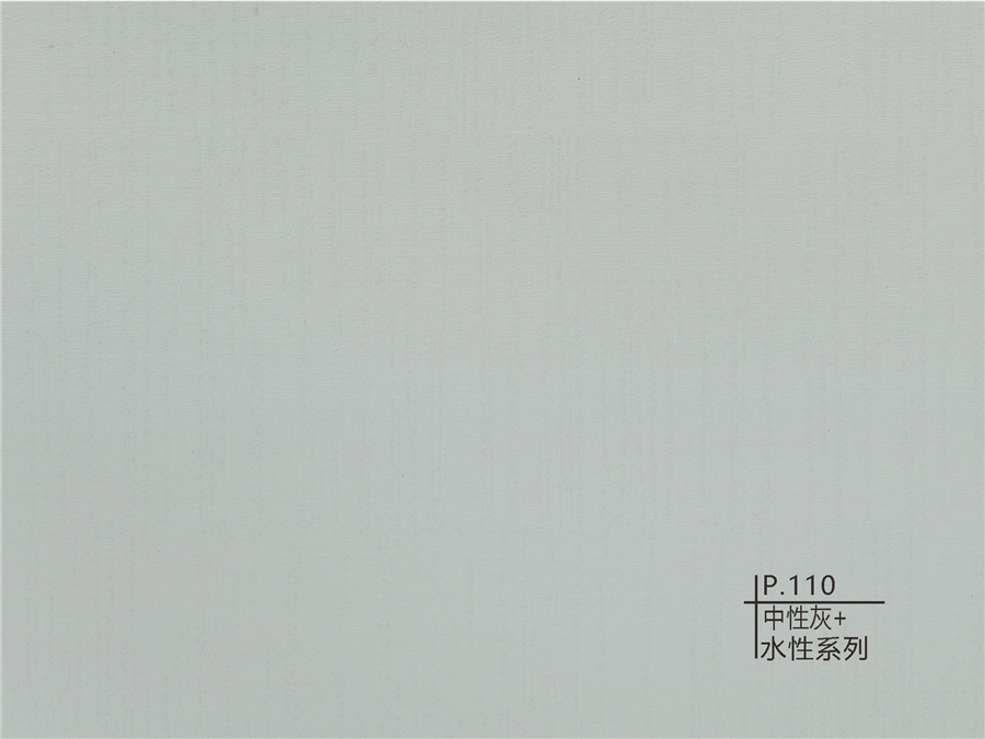 110中性灰+水性系列